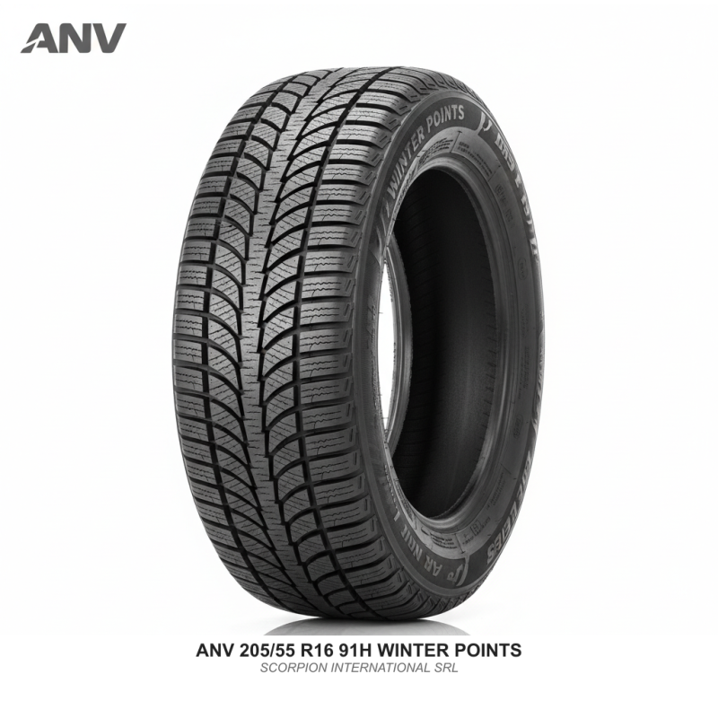 ANV 205/55 R16 91H WINTER POINTS