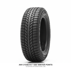 ANV 215/60 R17 100V WINTER POINTS