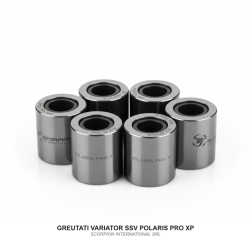 GREUTATI VARIATOR SSV POLARIS PRO XP