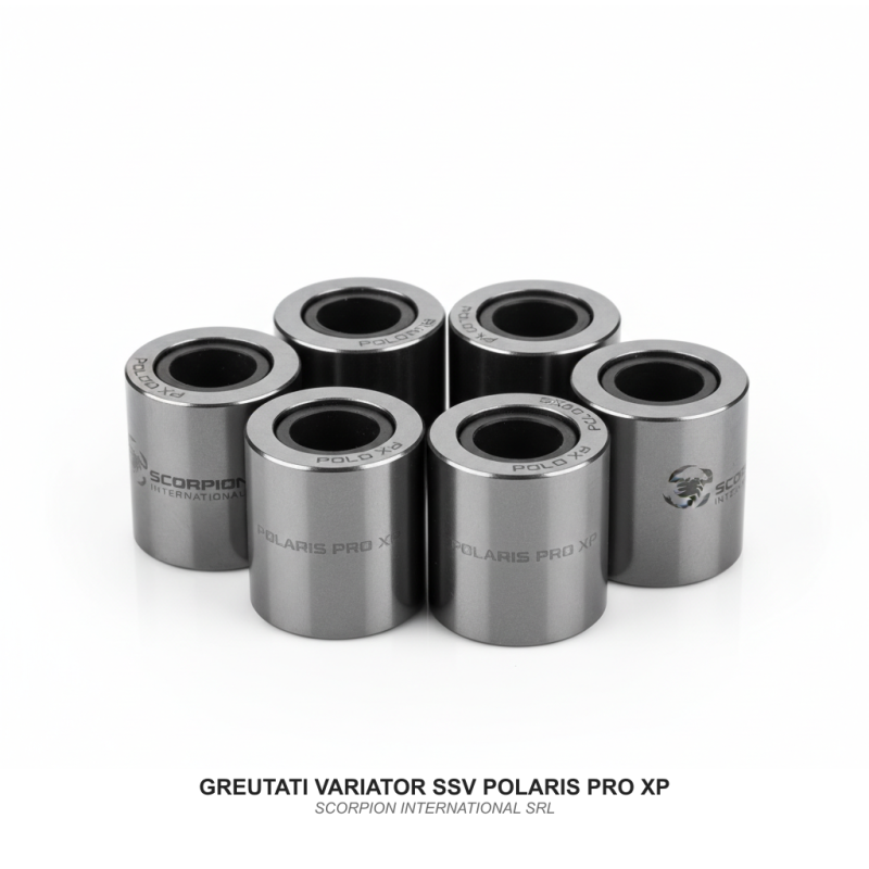 GREUTATI VARIATOR SSV POLARIS PRO XP